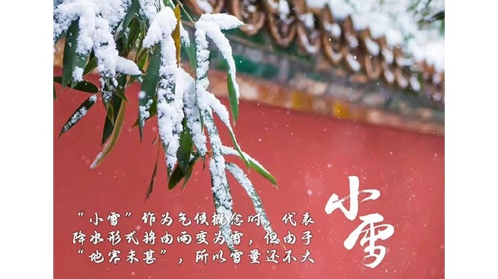 小雪已至！视平方科技提醒大家注意保暖！