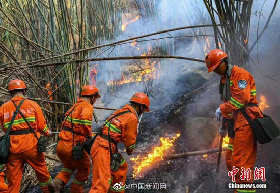 重庆巴南地区发生山火