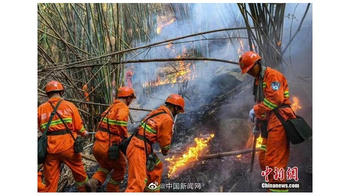 视平方科技带您了解“森林防火安防监控系统”